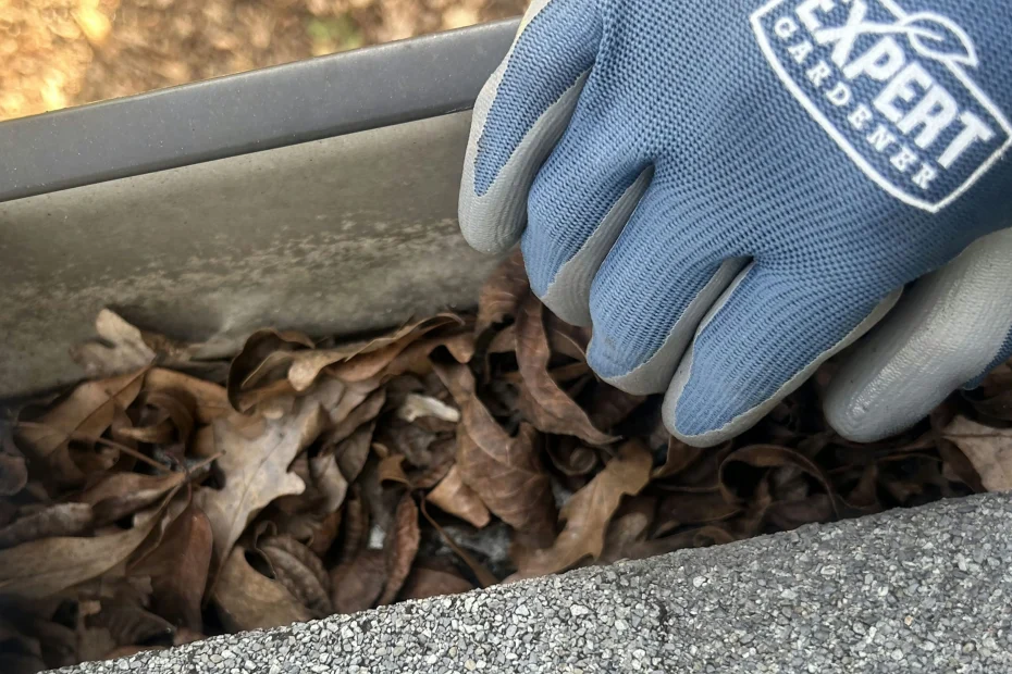 Gutter Cleaning Montevallo